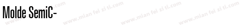 Molde SemiC字体转换
